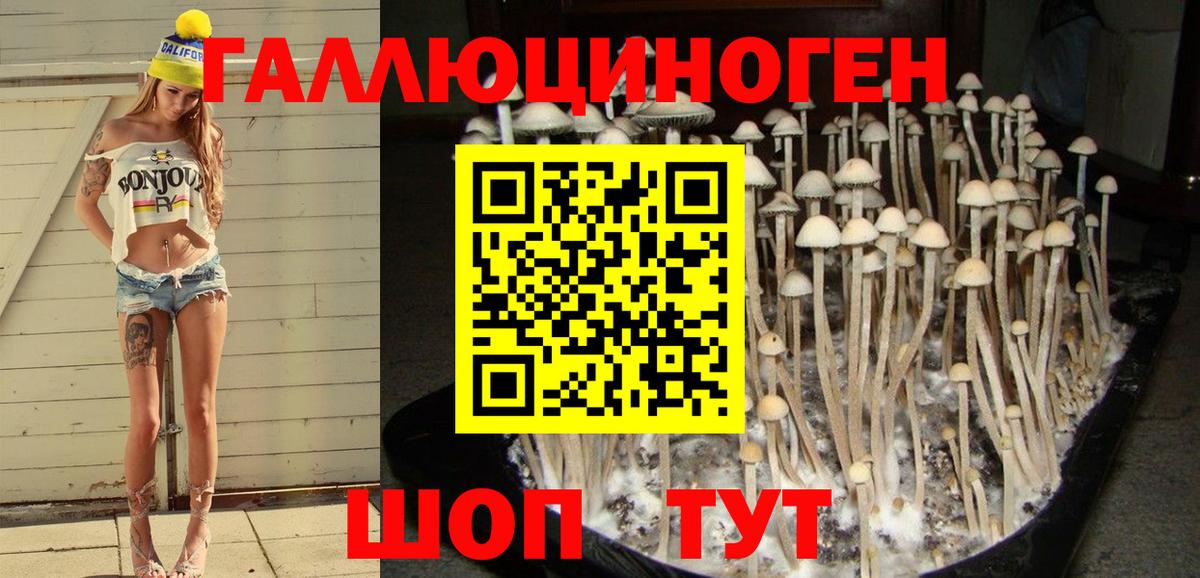 Галлюциногенные грибы ЛСД Заводоуковск