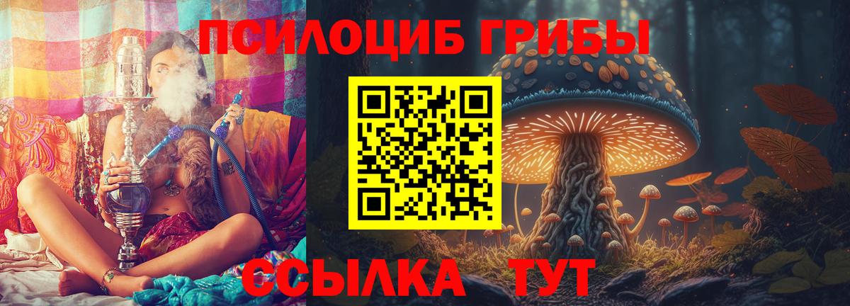 Заводоуковск  Вход с VPN  Героин  Мефедрон   ГАШИШ  МЕТ  Магазин наркотиков  Марихуана  Кокаин 